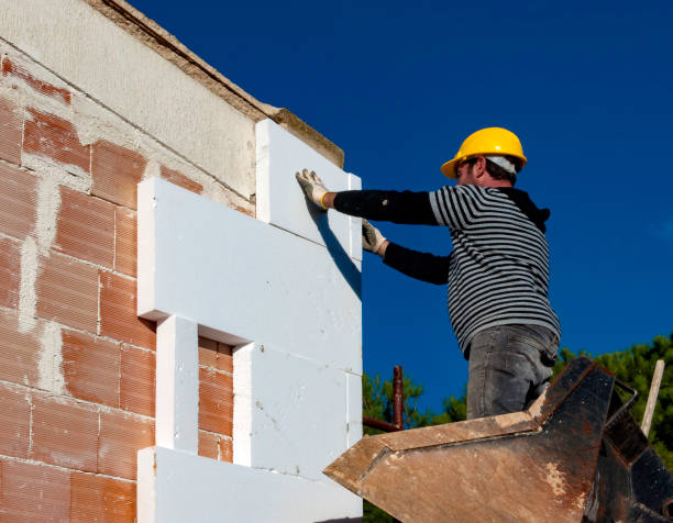 Best Geographic-Specific Insulation Services in Decatur, AL