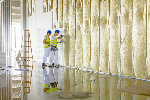 Best Specialized Insulation Services in Decatur, AL
